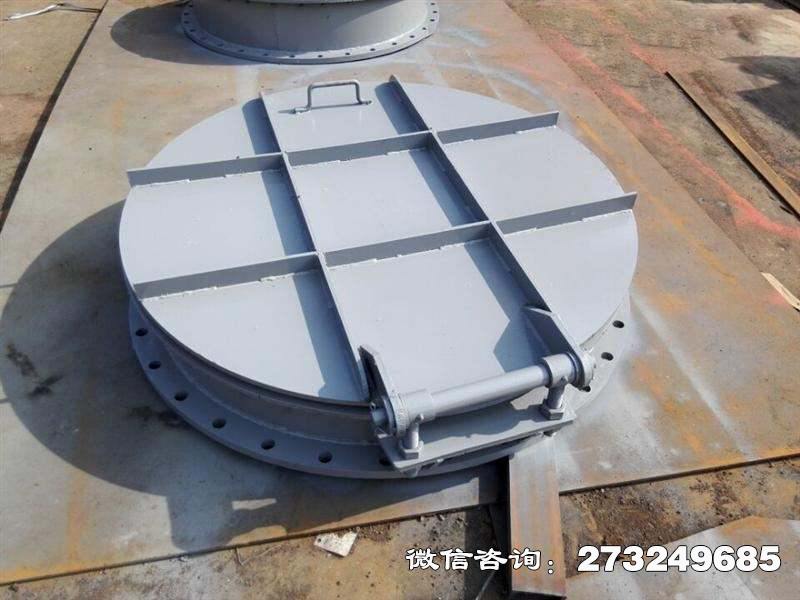 洛龙平板式钢制拍门