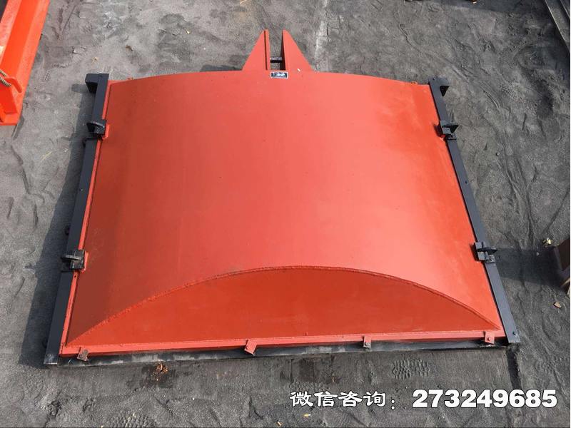 保德县弧形铸铁拍门
